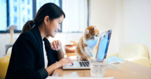 individuals sitting at a computer looking a laptop screen with a cat sitting next to it.