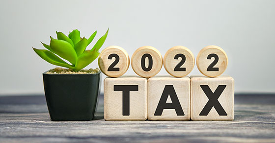 blocks with "2022 tax" next to a growing green plant