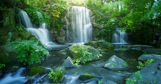 Waterfall in Tokyo, Image of an ecology, Global warming measure in the city, Holiday resort in Tokyo