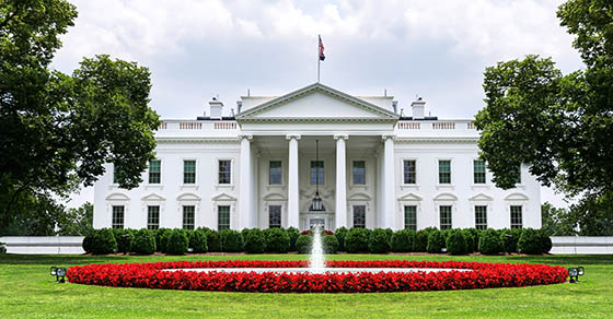 image of the white house