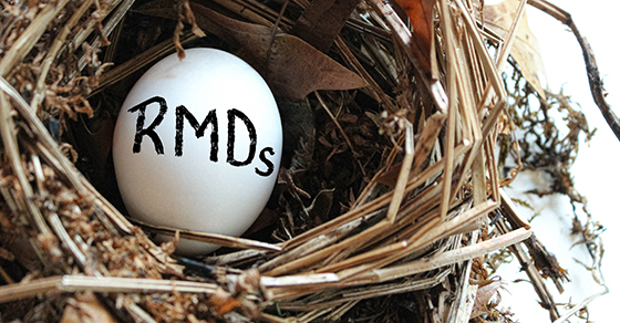 graphic of an egg in a nest with the word "RMDs" written on it.